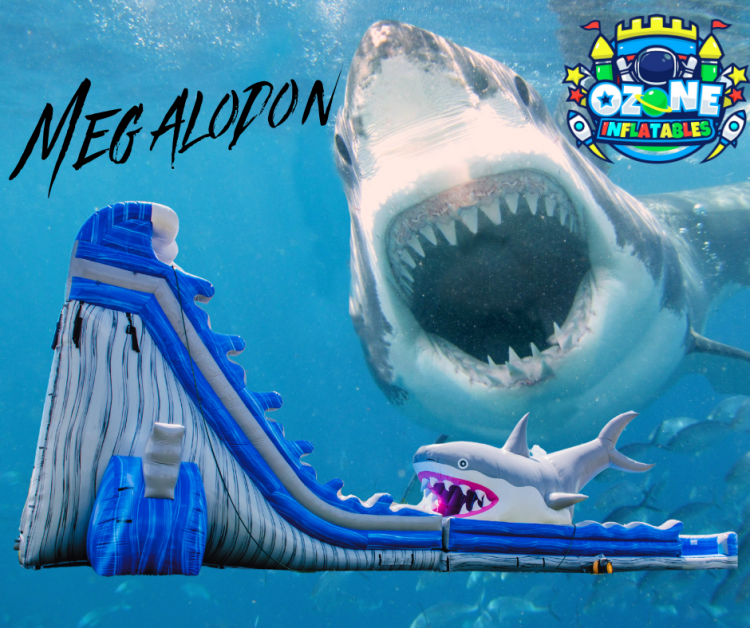 26ft Megalodon Party Package